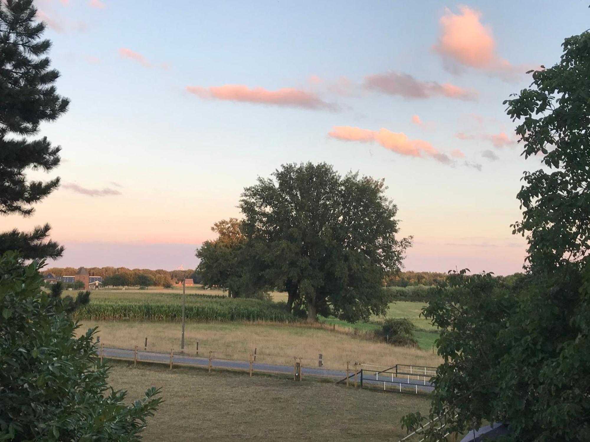 Ks Kotten Bed And Breakfast レース エクステリア 写真