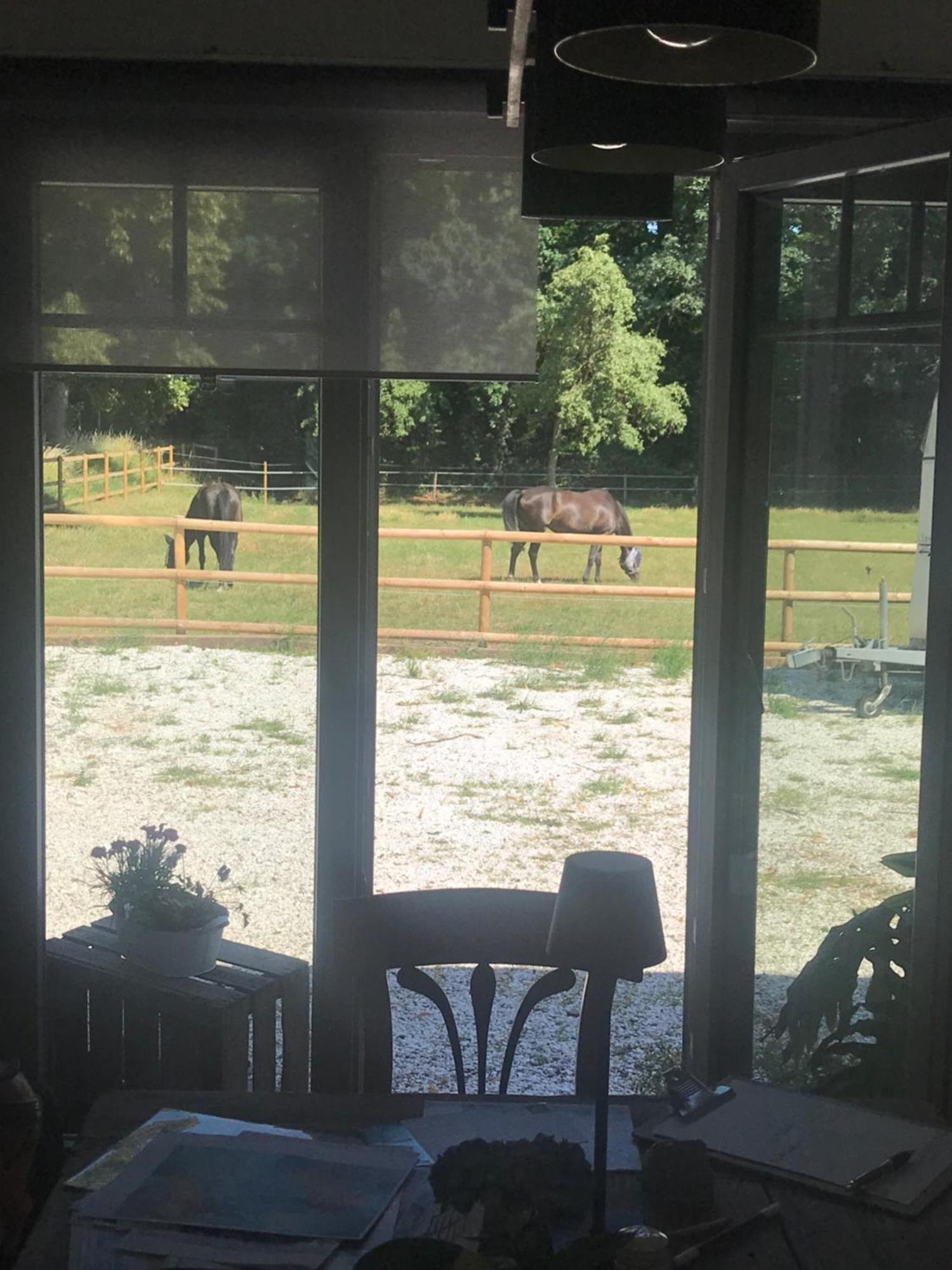 Ks Kotten Bed And Breakfast レース エクステリア 写真